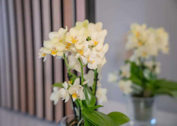 Tanic Loft Main Station Apartment *